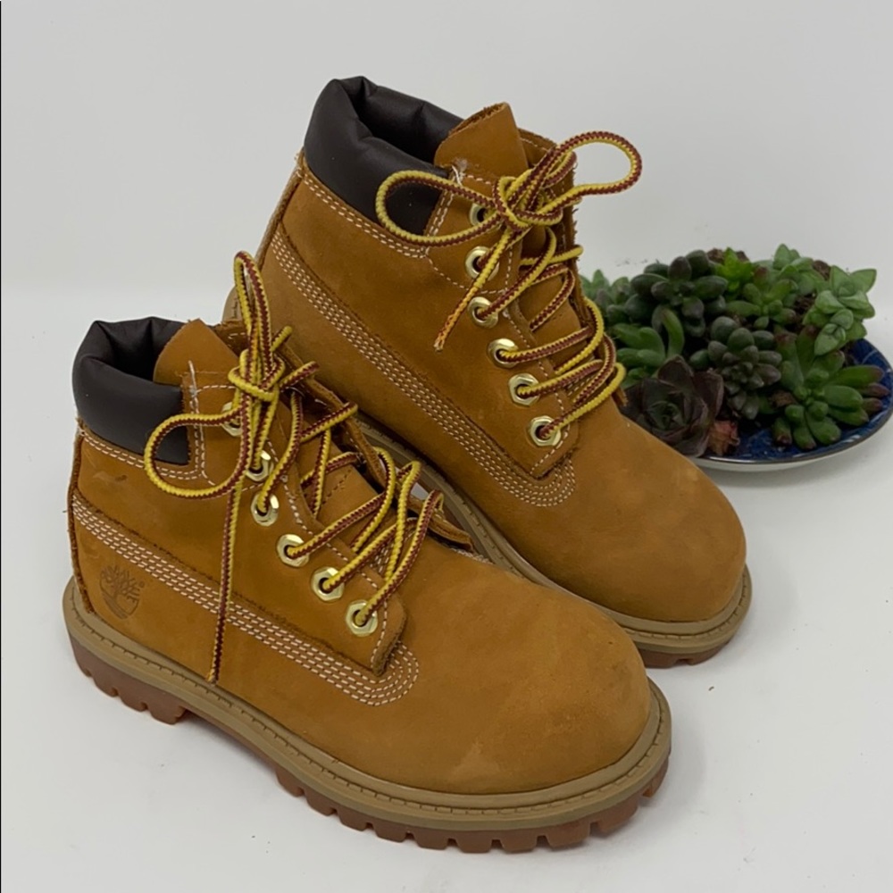 Timberland | toddler high top boots 10 Medium